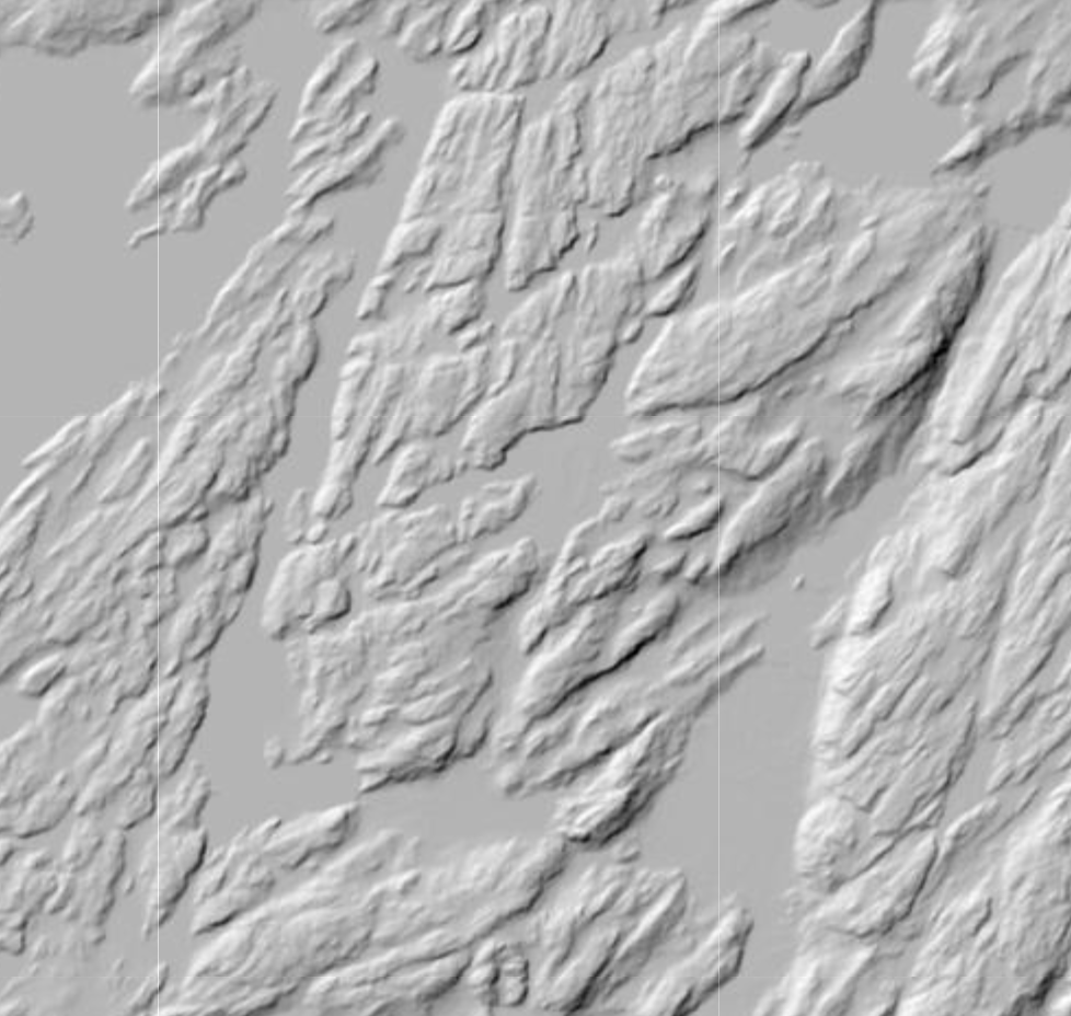 Wolf lake state forest terrain map.