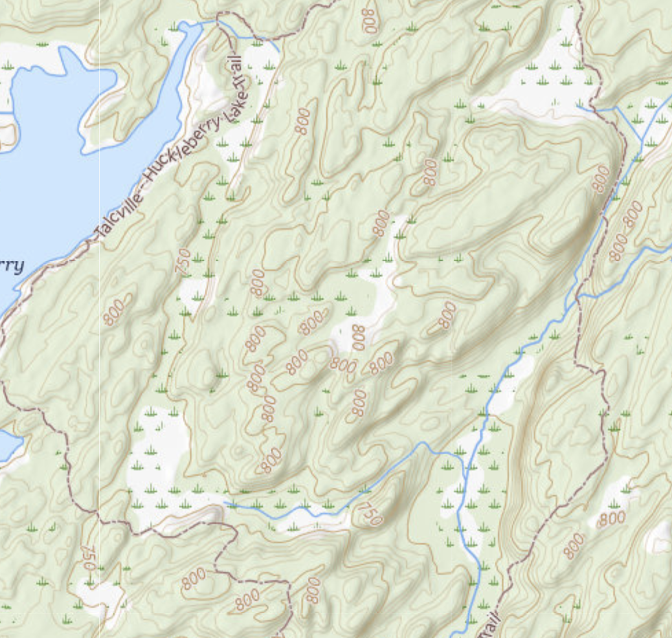 Wolf lake state forest terrain map.